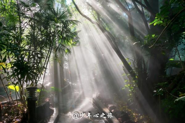 请问公司优秀员工简历怎样写