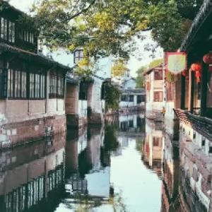 毛豆怎么煮不发黄-热门问题解答平台